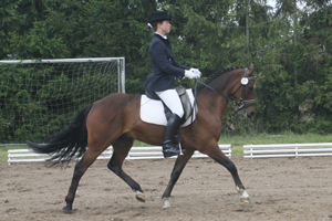 Dressurpony Figaro wurde von Julia Ising in den Sport gebracht und gehört jetzt zum Spitzentrio der MV-Ponys. Foto: Wego